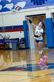 Girls Volleyball: Hendersonville at West Henderson (BR3_5880)