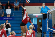 Girls Volleyball: Hendersonville at West Henderson (BR3_5884)