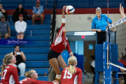 Girls Volleyball: Hendersonville at West Henderson (BR3_5885)