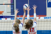 Girls Volleyball: Hendersonville at West Henderson (BR3_6128)