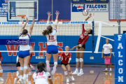 Girls Volleyball: Hendersonville at West Henderson (BR3_6177)