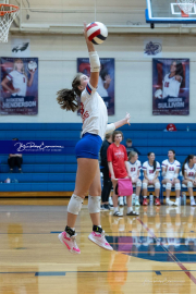 Girls Volleyball: Hendersonville at West Henderson (BR3_6204)