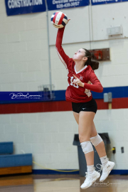 Girls Volleyball: Hendersonville at West Henderson (BR3_6309)