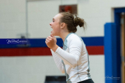 Girls Volleyball: Hendersonville at West Henderson (BR3_6369)