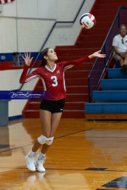Girls Volleyball: Hendersonville at West Henderson (BR3_6414)