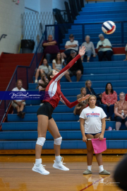 Girls Volleyball: Hendersonville at West Henderson (BR3_6422)