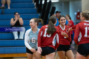 Girls Volleyball: Hendersonville at West Henderson (BR3_6536)