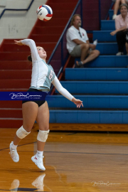 Girls Volleyball: Hendersonville at West Henderson (BR3_6544)