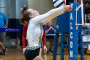 Girls Volleyball: Hendersonville at West Henderson (BR3_6635)