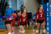 Girls Volleyball: Hendersonville at West Henderson (BR3_6667)