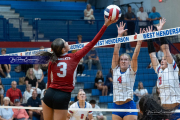 Girls Volleyball: Hendersonville at West Henderson (BR3_6671)
