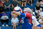 Girls Volleyball: Hendersonville at West Henderson (BR3_6684)