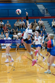 Girls Volleyball: Hendersonville at West Henderson (BR3_6858)