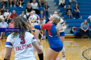 Girls Volleyball: Hendersonville at West Henderson (BR3_6876)