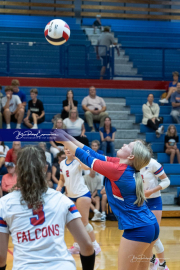 Girls Volleyball: Hendersonville at West Henderson (BR3_6880)