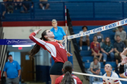 Girls Volleyball: Hendersonville at West Henderson (BR3_6889)