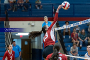 Girls Volleyball: Hendersonville at West Henderson (BR3_6893)