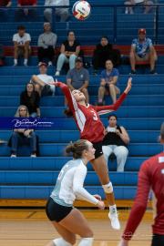 Girls Volleyball: Hendersonville at West Henderson (BR3_6910)