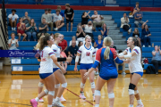 Girls Volleyball: Hendersonville at West Henderson (BR3_6926)