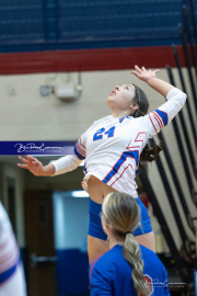 Girls Volleyball: Hendersonville at West Henderson (BR3_4178)