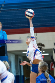 Girls Volleyball: Hendersonville at West Henderson (BR3_4183)