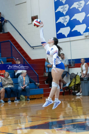Girls Volleyball: Hendersonville at West Henderson (BR3_4294)
