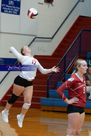 Girls Volleyball: Hendersonville at West Henderson (BR3_4341)