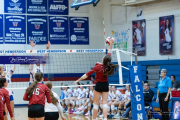 Girls Volleyball: Hendersonville at West Henderson (BR3_4371)