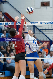 Girls Volleyball: Hendersonville at West Henderson (BR3_4391)