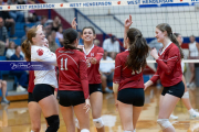 Girls Volleyball: Hendersonville at West Henderson (BR3_4407)