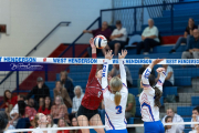Girls Volleyball: Hendersonville at West Henderson (BR3_4489)