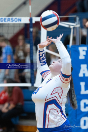 Girls Volleyball: Hendersonville at West Henderson (BR3_4604)