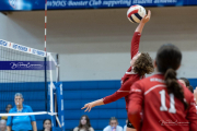 Girls Volleyball: Hendersonville at West Henderson (BR3_4772)