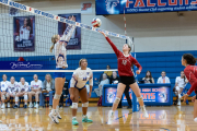 Girls Volleyball: Hendersonville at West Henderson (BR3_4802)
