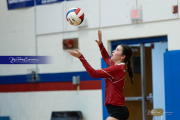 Girls Volleyball: Hendersonville at West Henderson (BR3_4897)