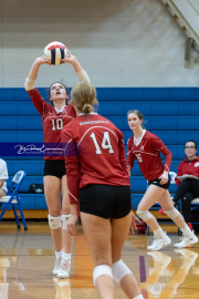 Girls Volleyball: Hendersonville at West Henderson (BR3_4945)