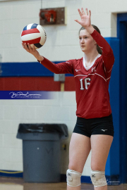 Girls Volleyball: Hendersonville at West Henderson (BR3_4955)
