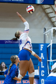 Girls Volleyball: Hendersonville at West Henderson (BR3_5040)