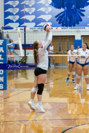 Girls Volleyball: Hendersonville at West Henderson (BR3_5211)