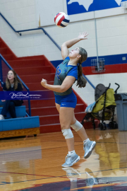 Volleyball: Rugby (BR3_3901)