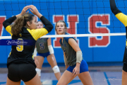 Volleyball: Rugby (BR3_3954)