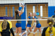Volleyball: Rugby (BR3_3962)