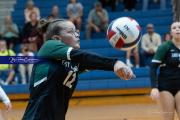 Girls Volleyball: East Henderson at West Henderson (BR3_0166)
