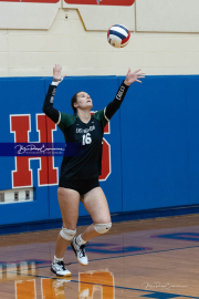 Girls Volleyball: East Henderson at West Henderson (BR3_0194)