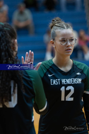Girls Volleyball: East Henderson at West Henderson (BR3_0219)