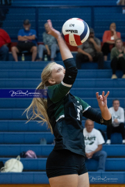 Girls Volleyball: East Henderson at West Henderson (BR3_0229)