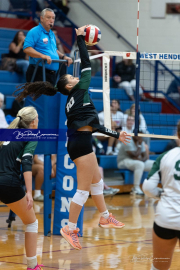 Girls Volleyball: East Henderson at West Henderson (BR3_0303)