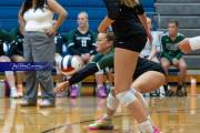 Girls Volleyball: East Henderson at West Henderson (BR3_0350)