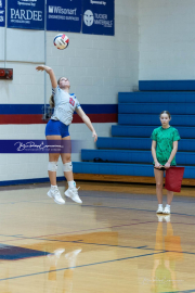 Girls Volleyball: East Henderson at West Henderson (BR3_0468)