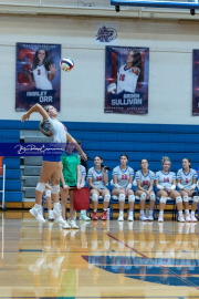 Girls Volleyball: East Henderson at West Henderson (BR3_0482)
